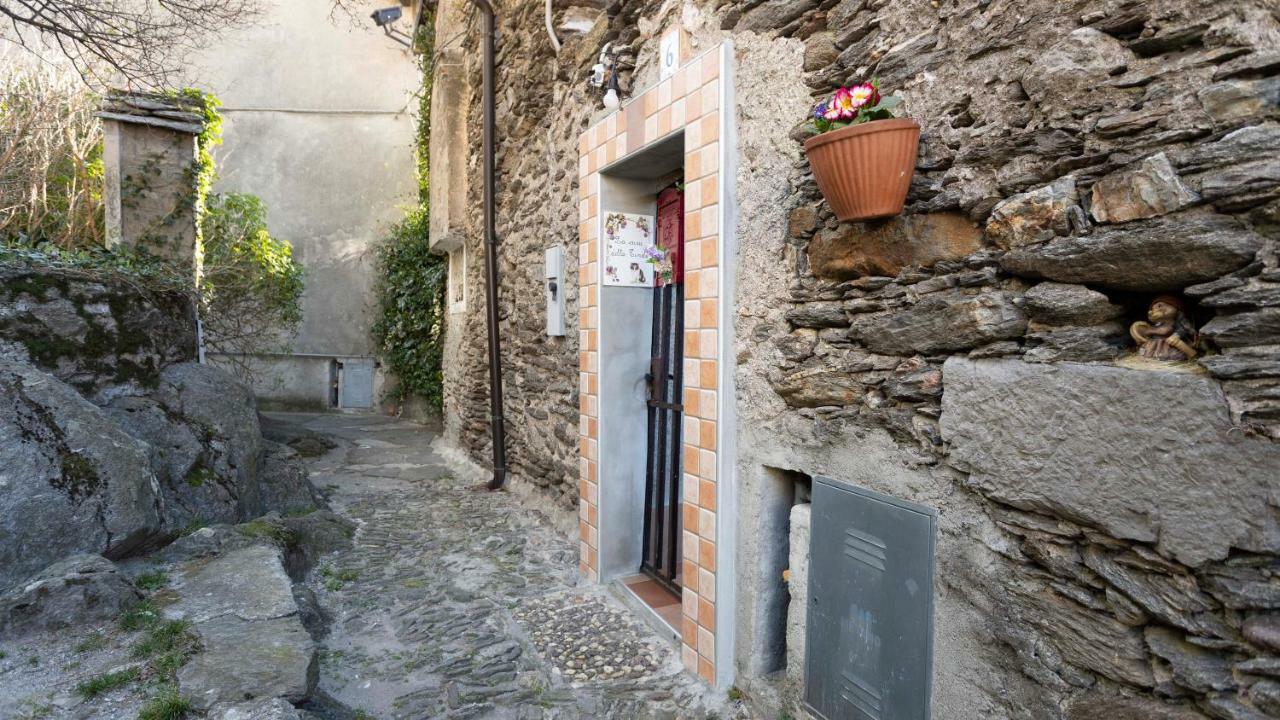 Вилла La Casa Della Cindy Дервио Экстерьер фото